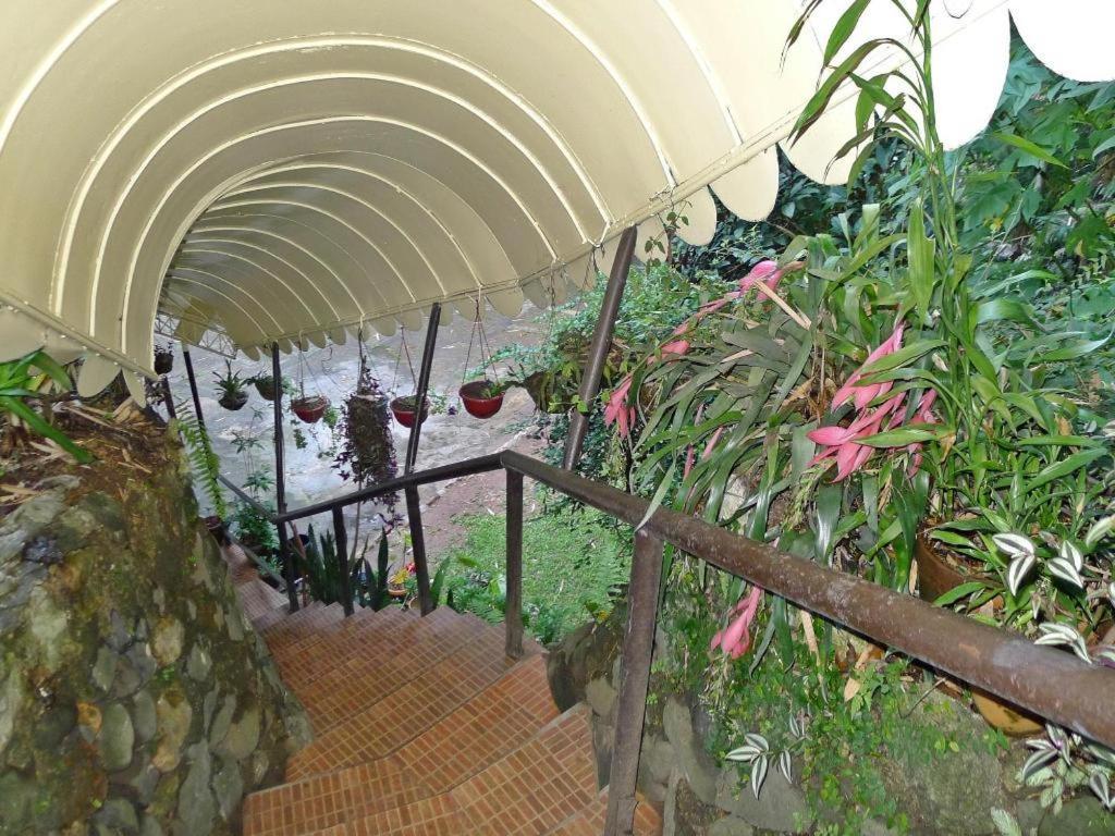 Mountain Lodge And Restaurant Baguio City Ngoại thất bức ảnh