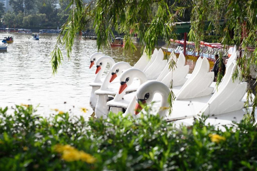 Mountain Lodge And Restaurant Baguio City Ngoại thất bức ảnh